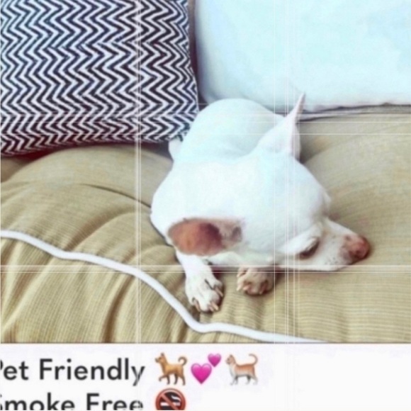 𝅺wildfox 💋🦊 NWT Sweat Watercolor Spill Blue Purple Marble Leggings - Picture 8 of 9